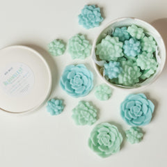3 oz Bloomulent Wax Melts in white round box packaging