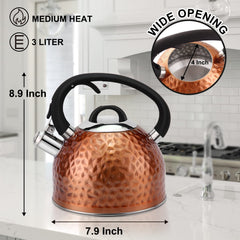 Loud whistle on stainless steel tea kettle