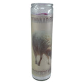 Corderito Manso vela 14oz en vaso grande