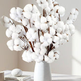 10 packs natural dried cotton stems 15 inches each