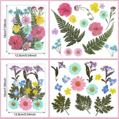 Dried flowers suitable for resin molds and crafts