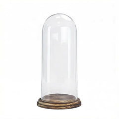 CYS EXCEL Glass Dome Cloche with charred wood base on display