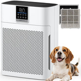 DBFIT AP2410 air purifier front view
