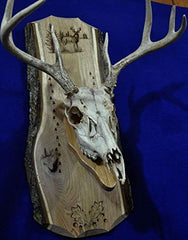 Deer skull mount plaque with included skull mounting plate
