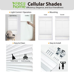 Light filtering cellular shade DEZ FURNISHINGS product image