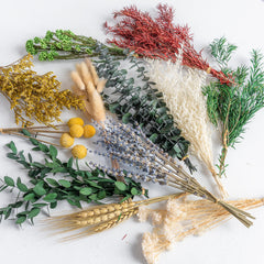 DIY Natural Dried Flower Set with 12 types including Eucalyptus and Lavender