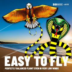 Beginner friendly Doinfly kite set for outdoor play