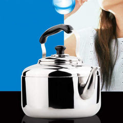 DOITOOL stainless steel teapot kitchen kettle