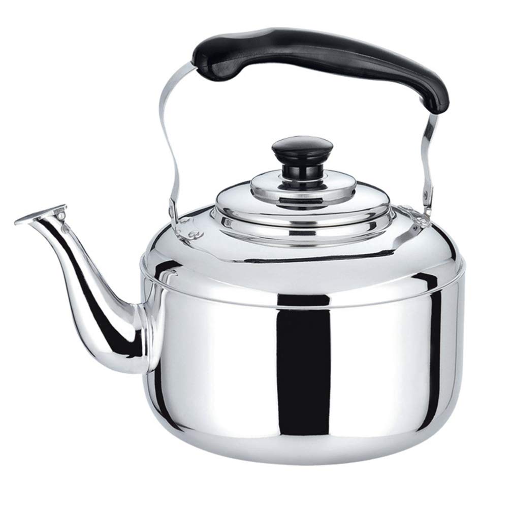 DOITOOL stainless steel kettle 5L front view