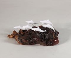 Two inch Pellucida dolphins on Burl Base