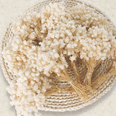 Ivory dried babys breath flowers 150pcs arranged in a bundle