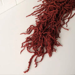 Natural Amaranthus burgundy color stems 32-40 inches