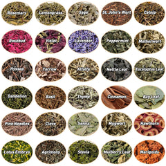 Dried Flowers Kit Beginner botanicals in sealed bottles