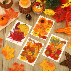 Vacuum packaged dried fall flowers to protect color