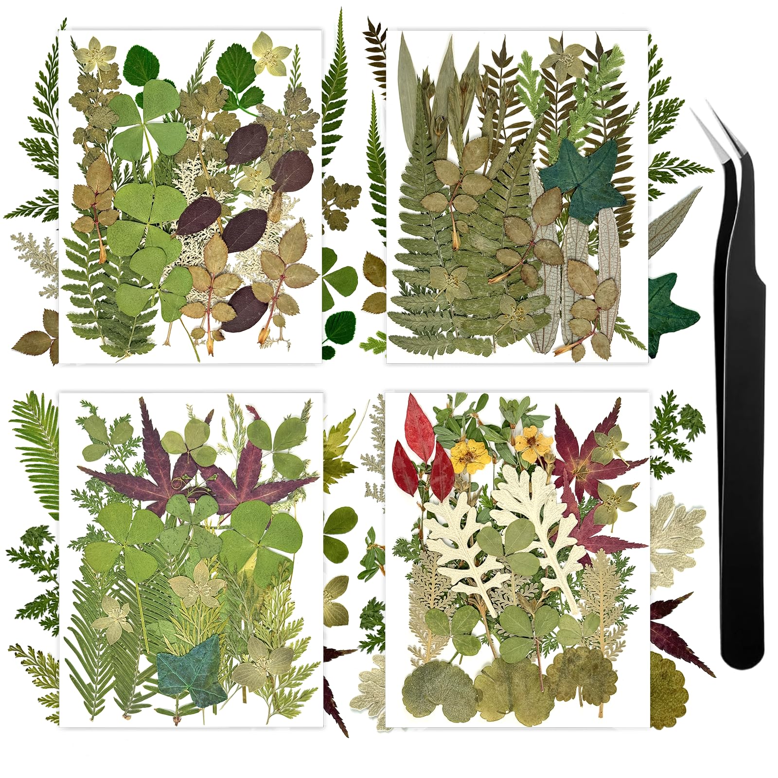 Dried flowers leaves for crafts 4 packs independent packaging 110+ Pcs