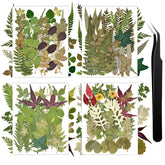 Dried flowers leaves for crafts 4 packs independent packaging 110+ Pcs