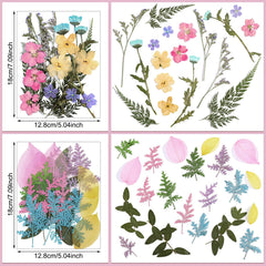 Nail art and scrapbooking with dried flowers