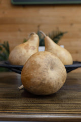 Gourds suitable for cutting wood burning painting and other crafts