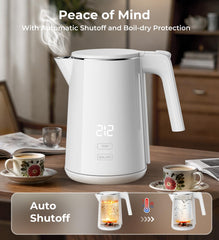 Auto shut-off boil-dry protection electric kettle