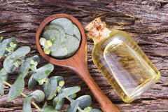 Eucalyptus essential oil for shower and steam room use