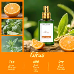 Essential oils based air freshener 100ml