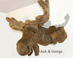 Top to bottom height 23 inches Jack plush moose wall mount