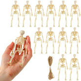 FINGOOO mini skeleton figurines 12Pcs 5.9 inch size for desk display