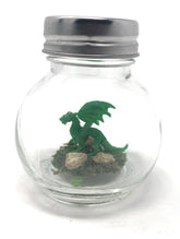 Fish Belli forest dragon tiny pet on display