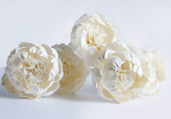 Five Sola Flower diffuser components not including bottle fragrance