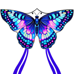 Flying Hoofer Large Butterfly Kite Rainbow in flight
