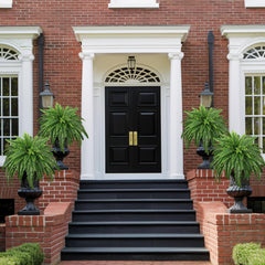 Artificial Boston ferns by FOREST PRINCE for indoor decor