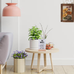 Freestanding wifi sign shown on desk or countertop
