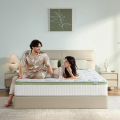 Full Mattress memory foam hybrid image