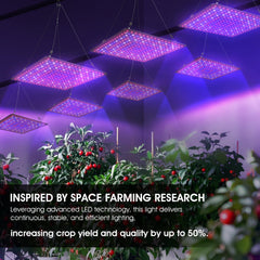 4x4ft coverage suitable for greenhouse or tent