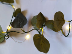 Green eucalyptus leaves garland for decor
