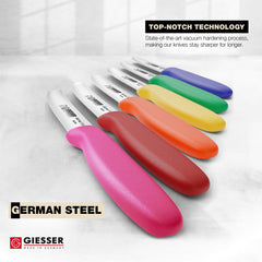 Steaks knives set of 6 by Giesser