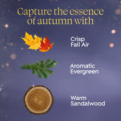 Fragrance infused with essential oils in Embers Sandalwood refills