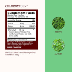 Gluten-free non-GMO alcohol-free chlorophyll capsules
