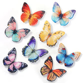 GOOZADA 8pcs acrylic butterfly fridge magnets 2.17 in each