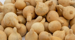 Small gourds size 1 to 1.5 inches for ornaments
