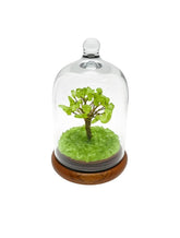 Crystal bonsai tree under glass dome on wooden base