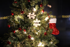 Pacific Northwest studio ornament set