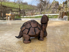 Gag gift penis turtle for office and home decor