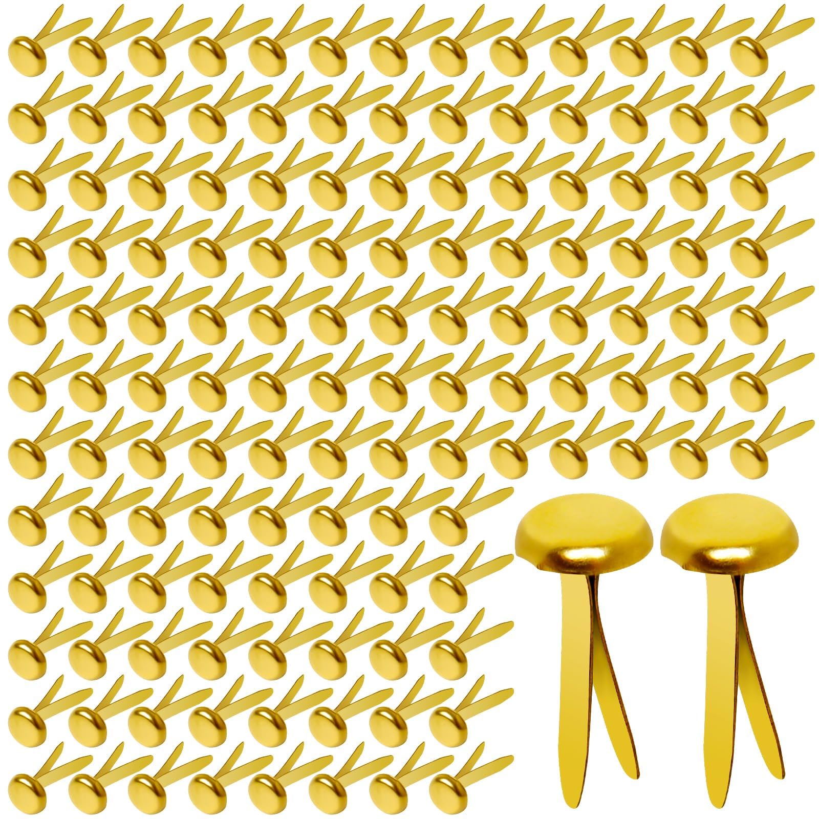 Hapy Shop Paper Brass Fasteners 8mm diameter 300 pack