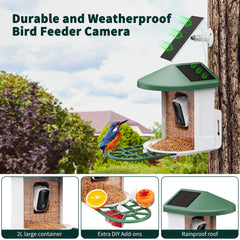Dual solar powered bird feeder with external solar panel
