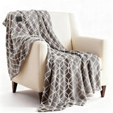 Heated Blanket Electric Throw Blanket 50x60 with built-in button controller