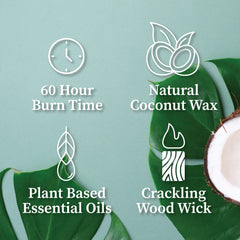 Giftable Hemlock Park candle velvet pouch box