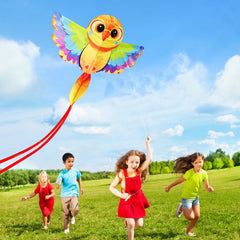 Duck kite Hengda 3 pack