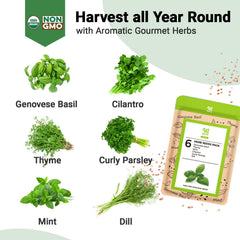 HiHOYA seed pod kit contents eight grow sponges and eight baskets