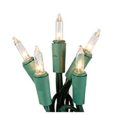 Holiday Pride 20 clear mini lights on green wire for indoor use